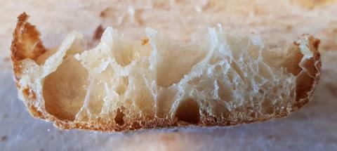 Baguette bake 1 @ 32h retard - crust cross-section