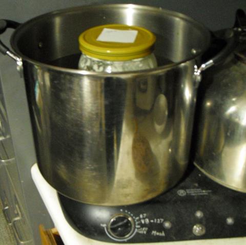 Hotplate used to incubate sourdough starter
