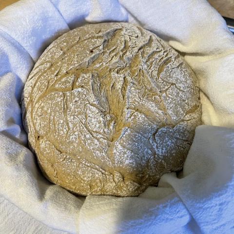 rye bread dough proofing 
