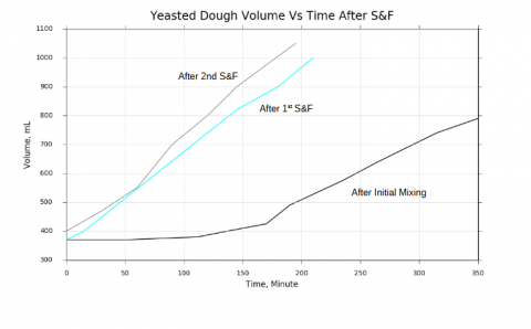 Yeasted dough growth