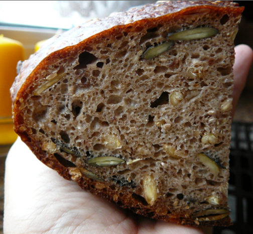 Chia rye seeds