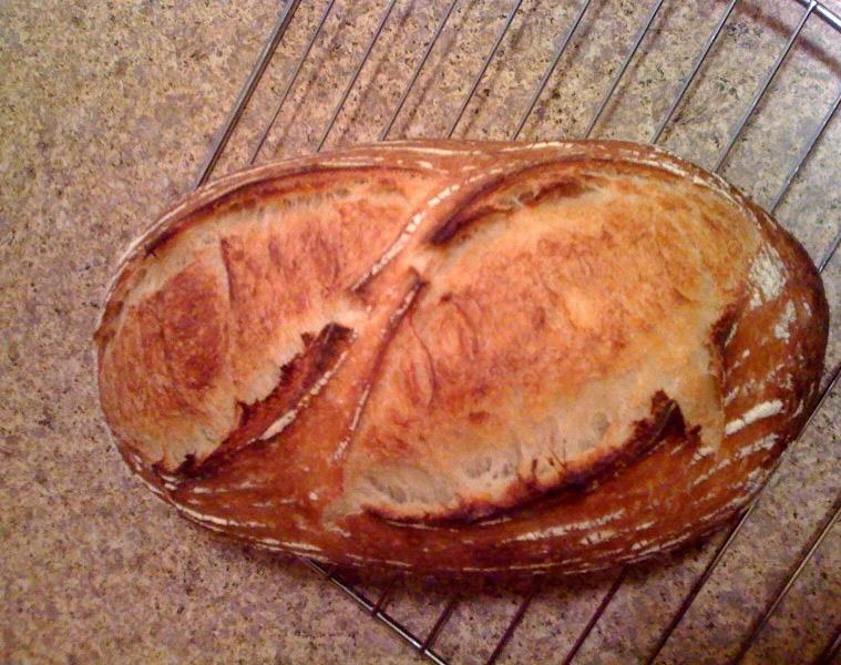 sf sourdough top for tfl.JPG