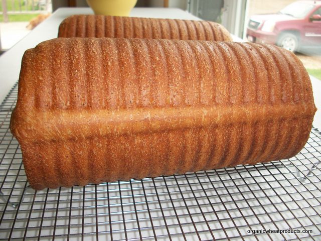 Wanted: King Arthur Flour round 2 loaf crimped baking pan