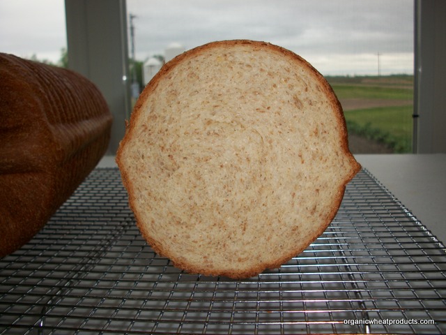 Wanted: King Arthur Flour round 2 loaf crimped baking pan