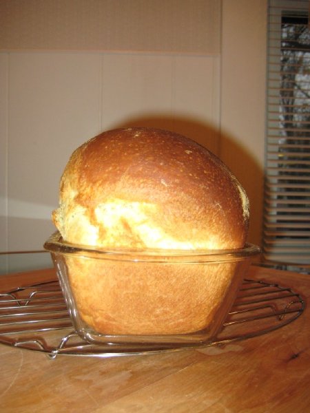 Semolina Sandwich Bread..jpg