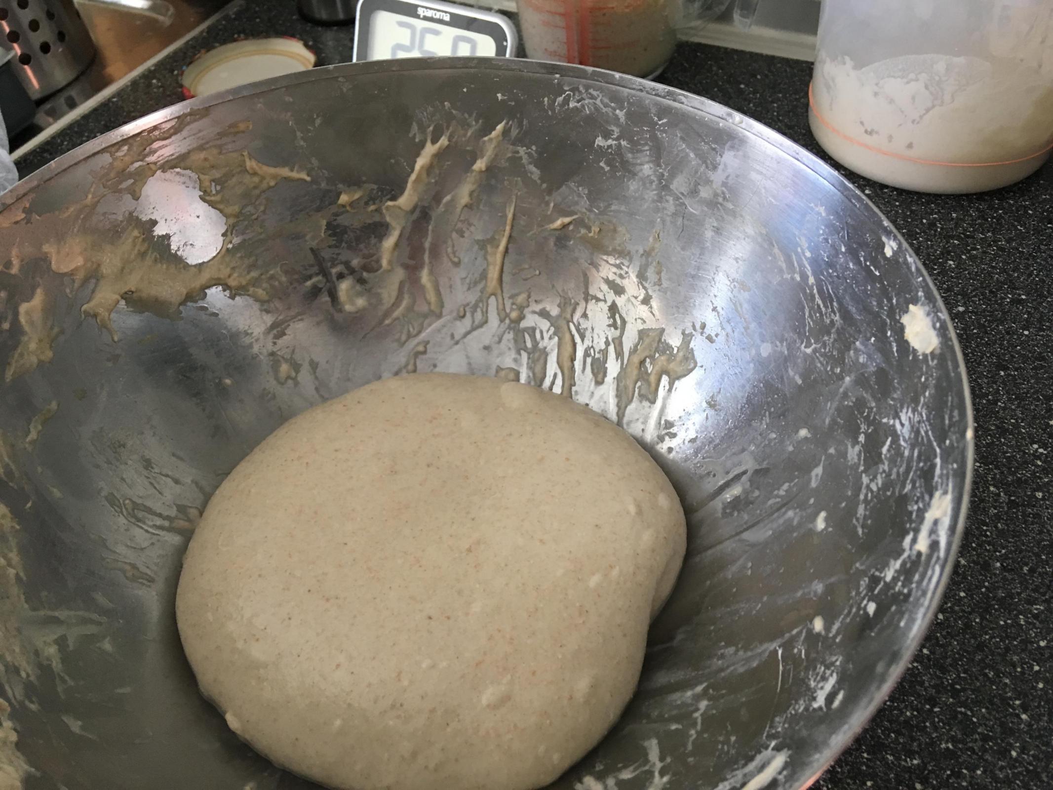 Dough after 2nd or 3rd fold