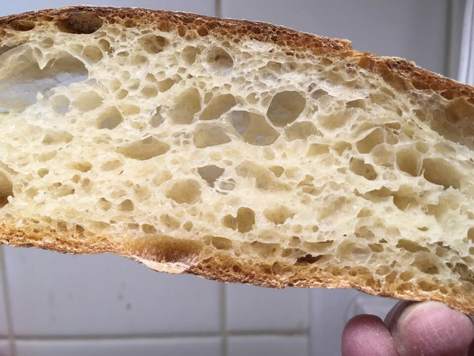 crumb shot 2 hr autolyse