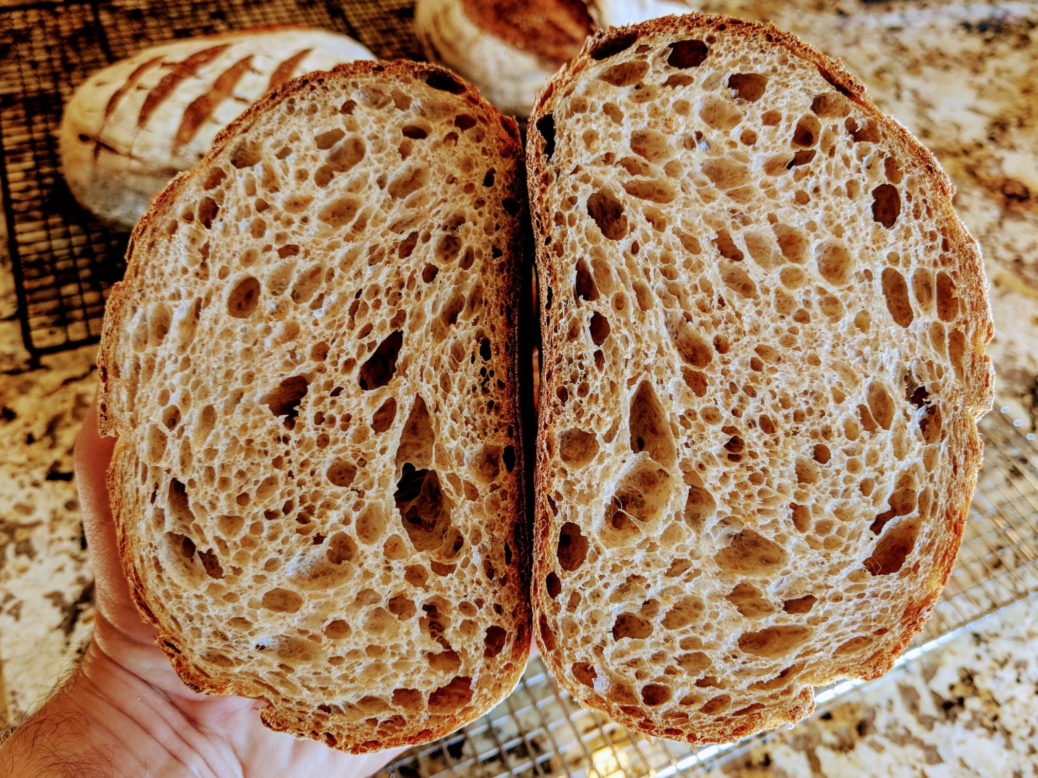 Country bread crumb