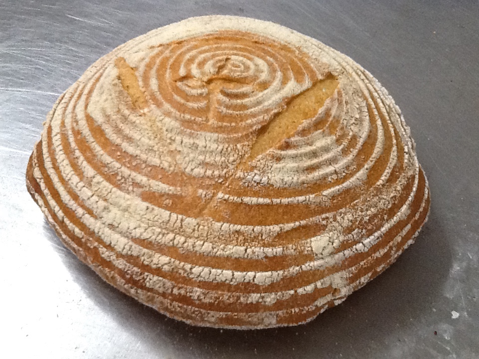 Pane di Altamura baked in bakery oven