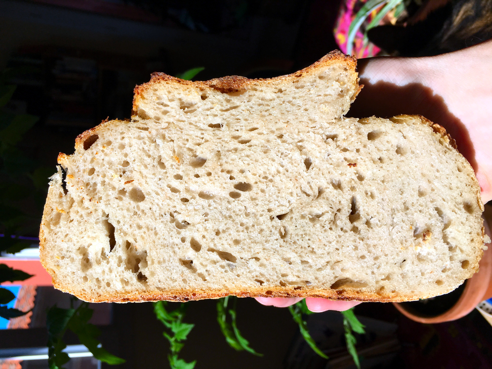 crumb