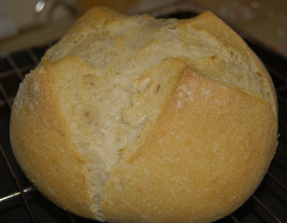 JJ's first ever sourdough