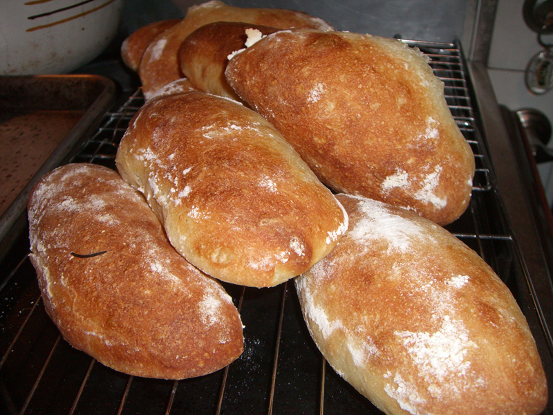 ciabatta rolls 1