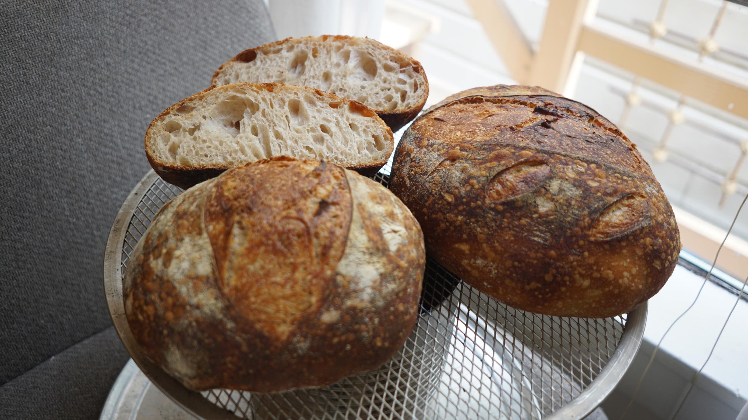 Some of my sourdough loaves!