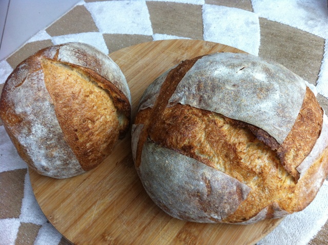 Pita Bread  The Fresh Loaf