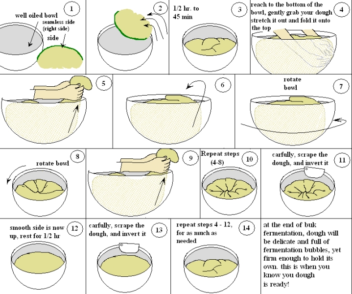 illustration: Stretch and Fold in the Bowl
