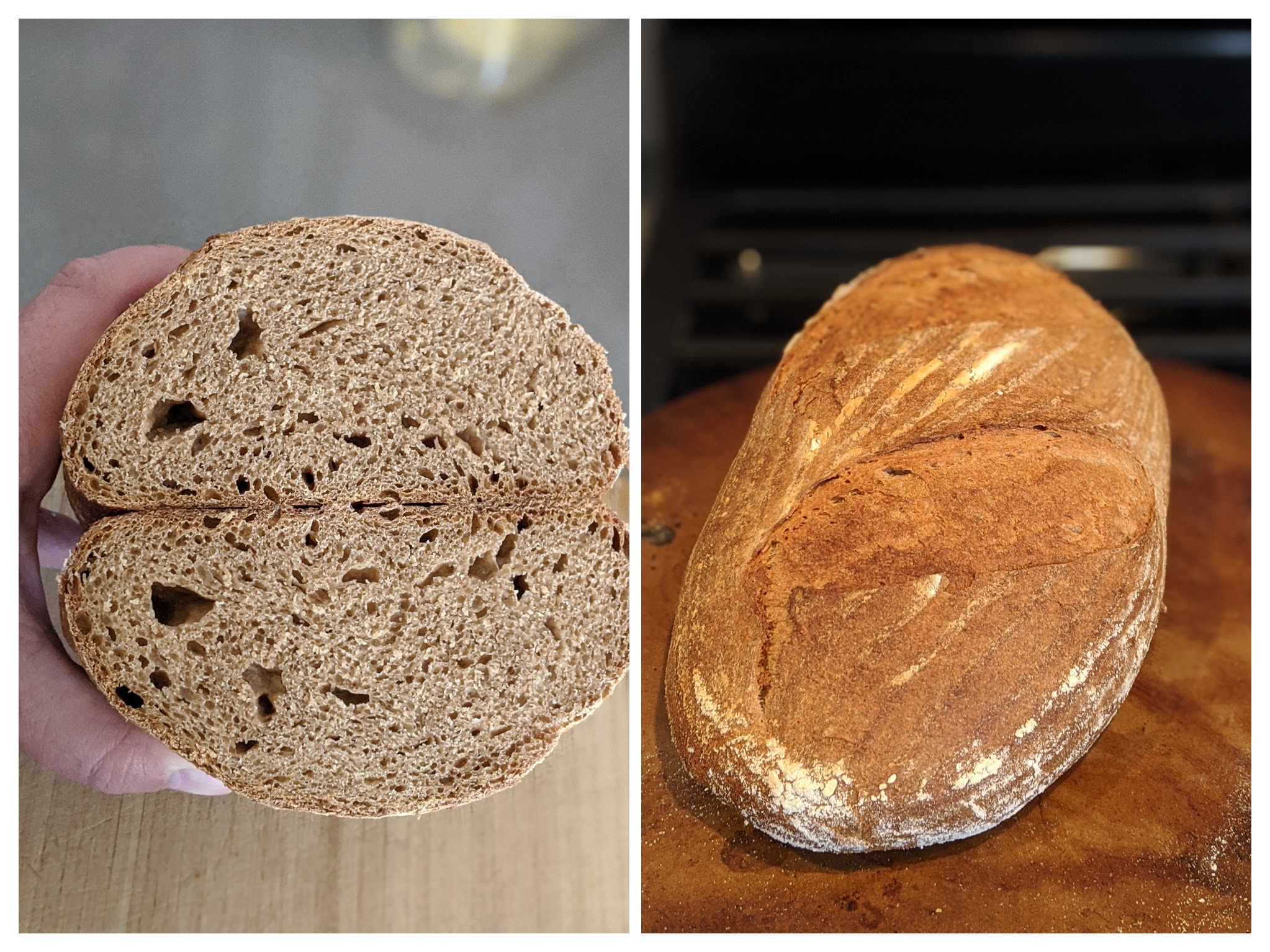 100% Whole Wheat Sourdough