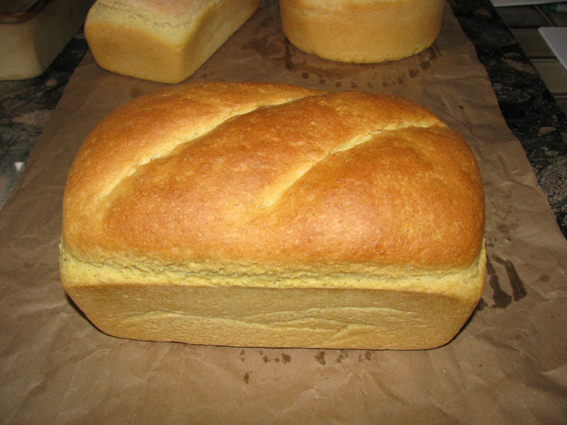 100% Semolina Sandwich bread