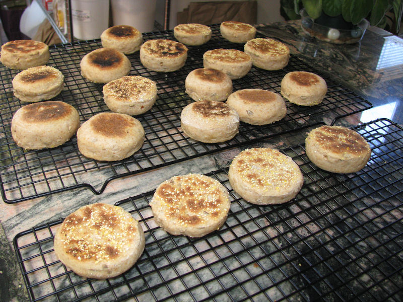 Hot on the griddle