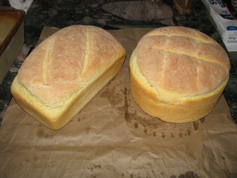 Semolina & durum sourdough