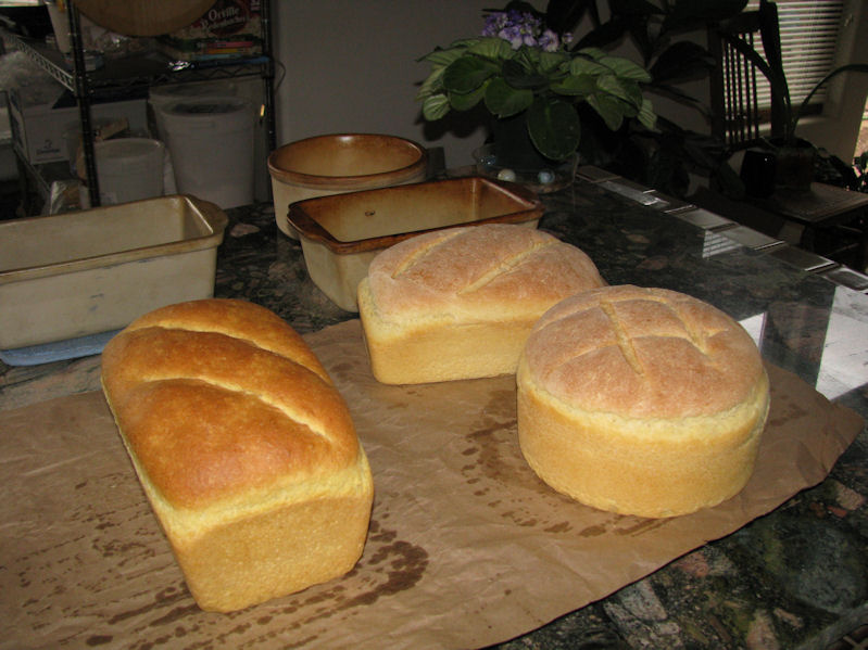 100% Semolina in front - semolina & durum SD in back