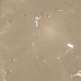 Close-up of starter after stirring