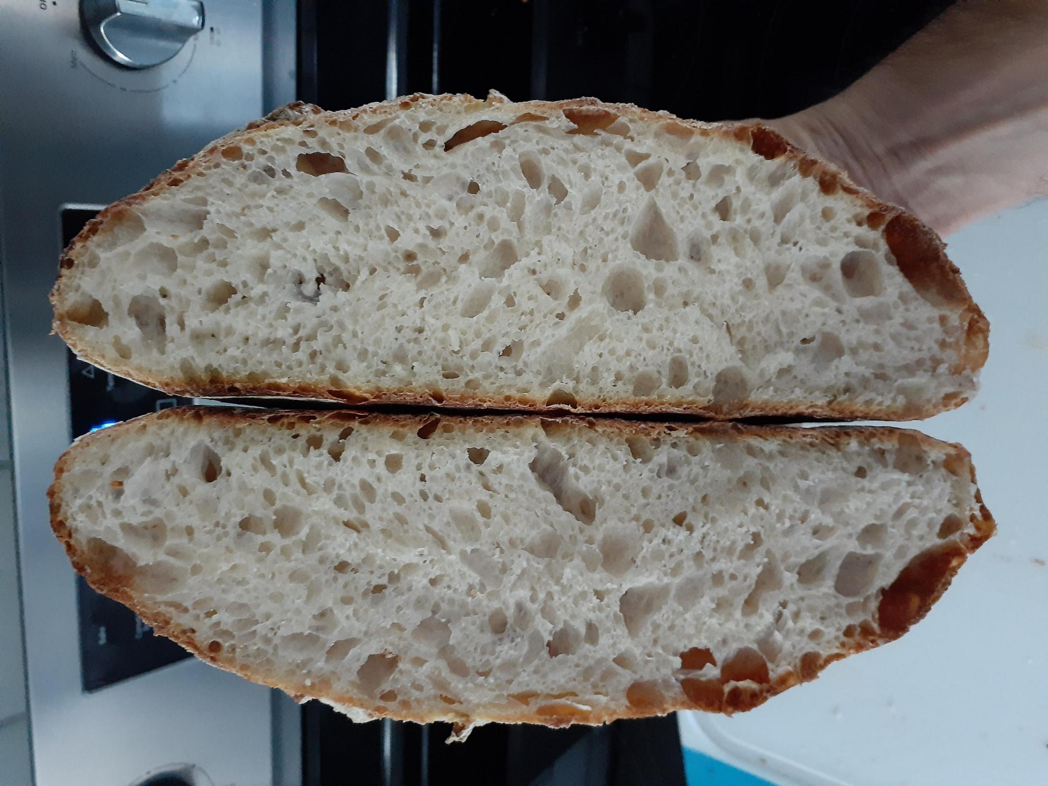 Troubleshooting sourdough