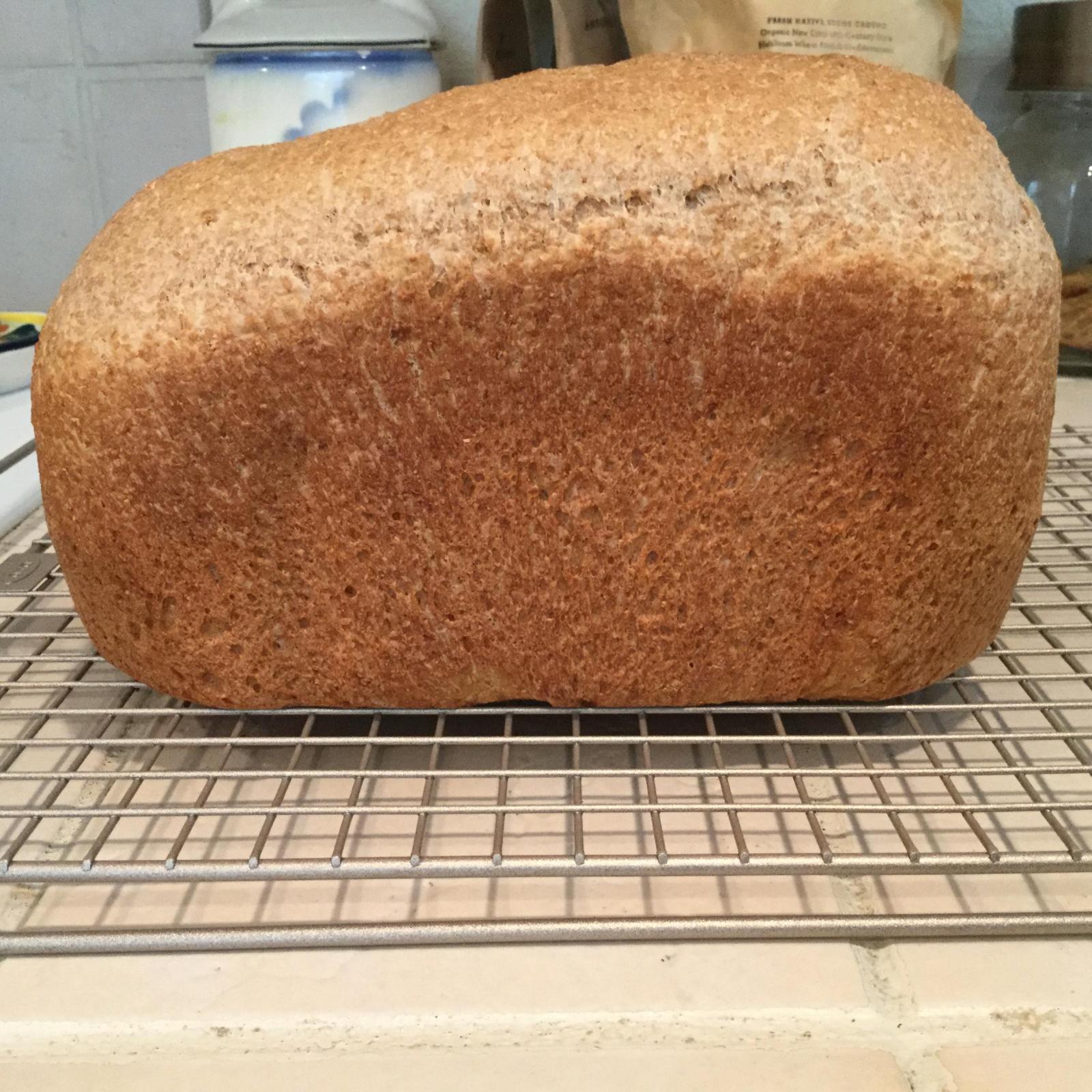 Loaf of whole wheat bread