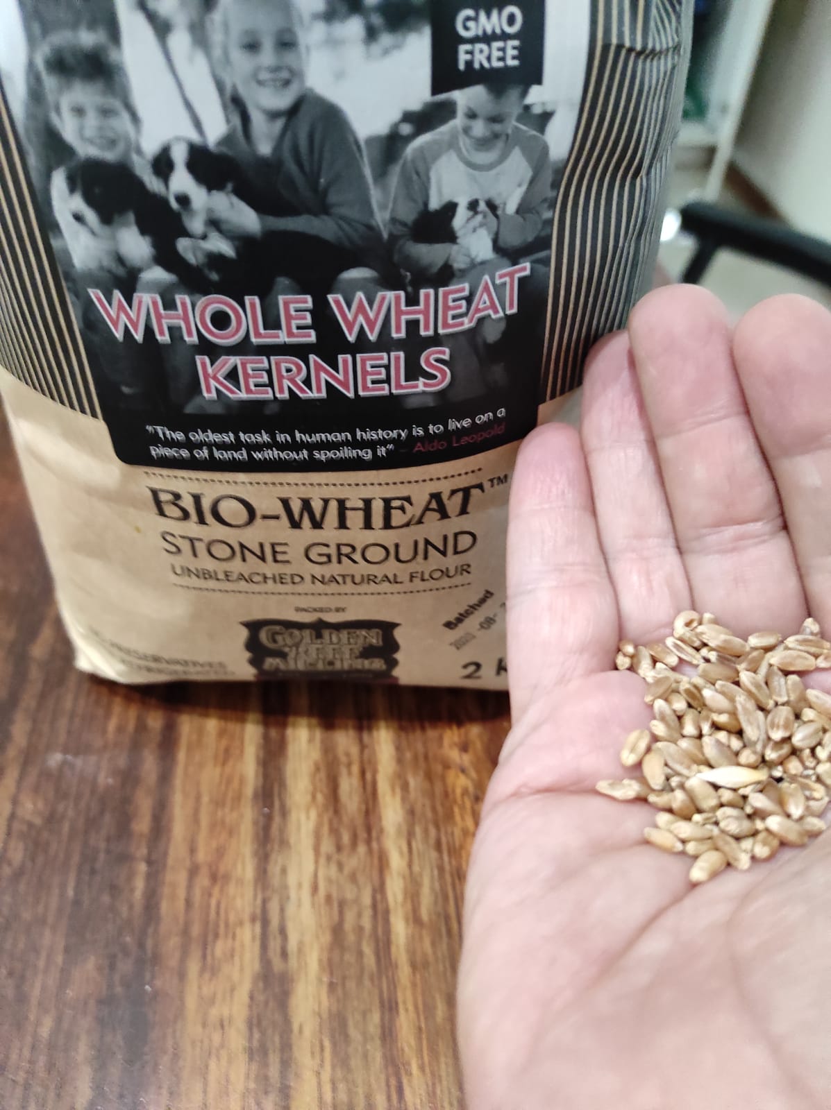 wheat kernels