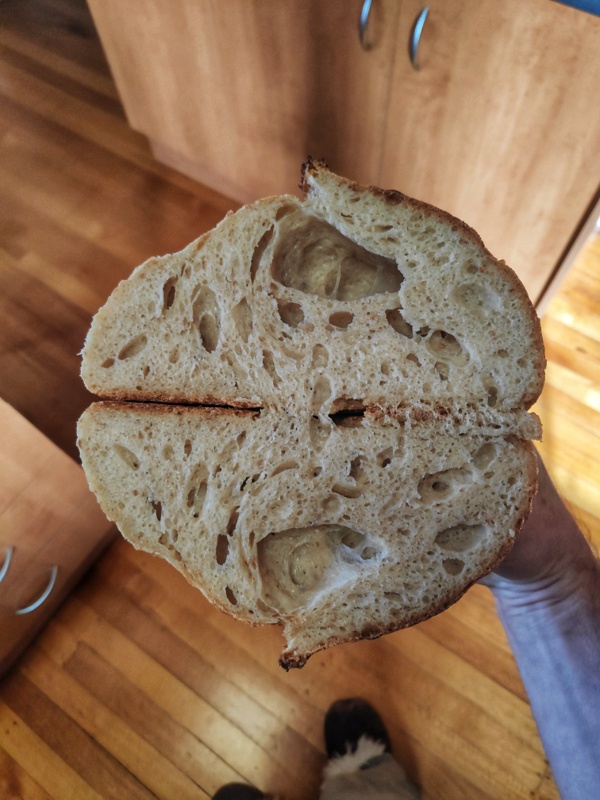 Fools crumb