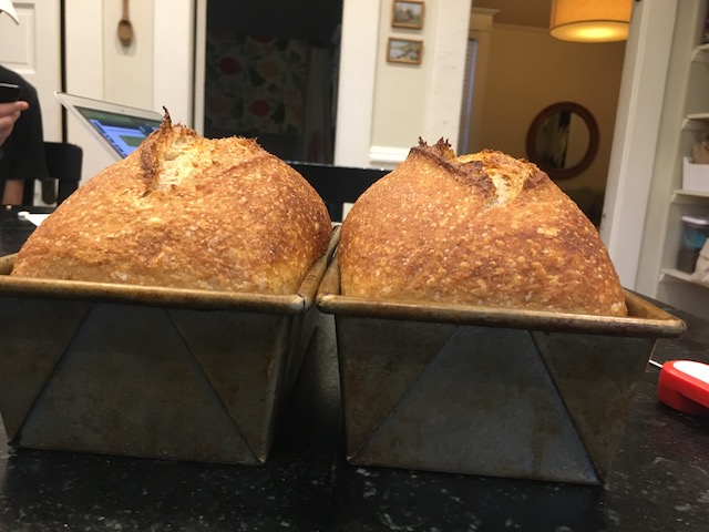 Sourdough Pan Loaves – Flourist