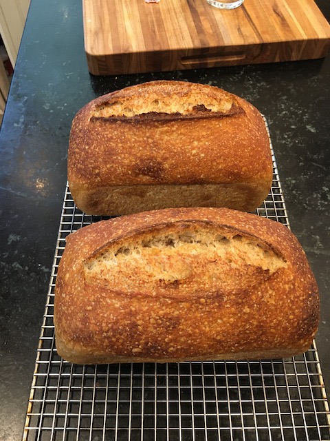 Sourdough Pan Loaves – Flourist