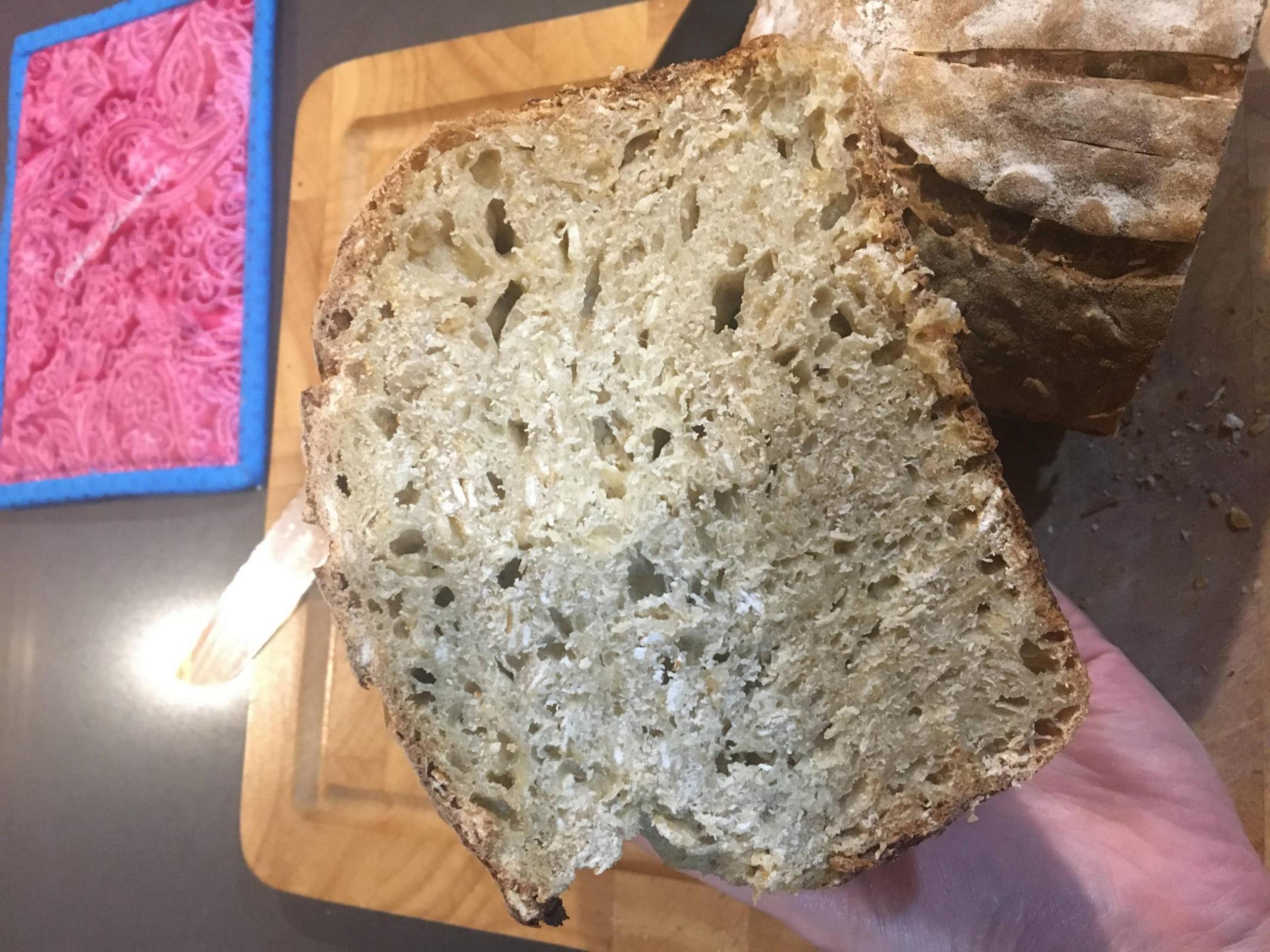 The interior of a loaf of bread. The crumb is tight. There are specks of oats.