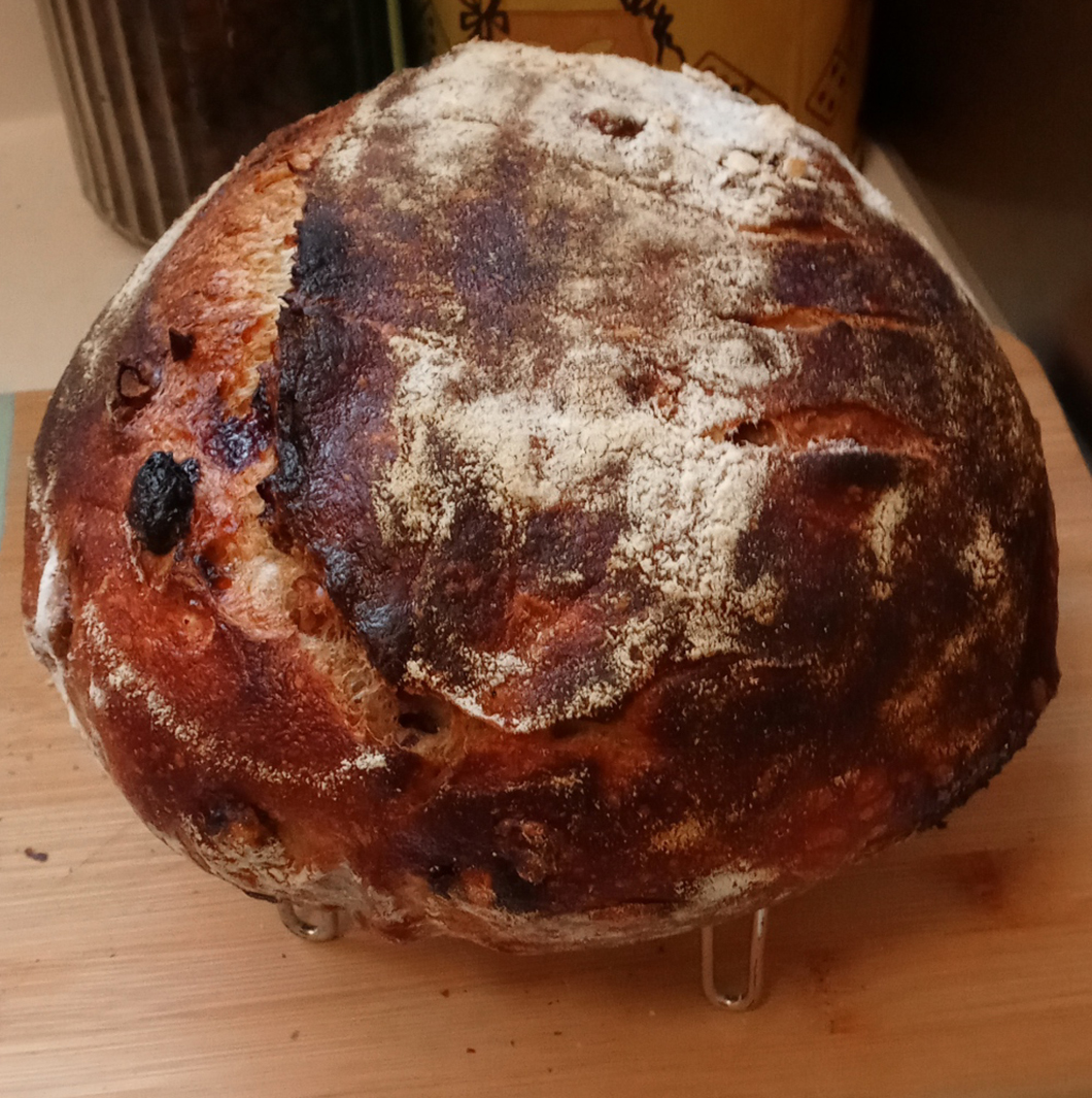 Walnut Cherry Levain, loaf 1