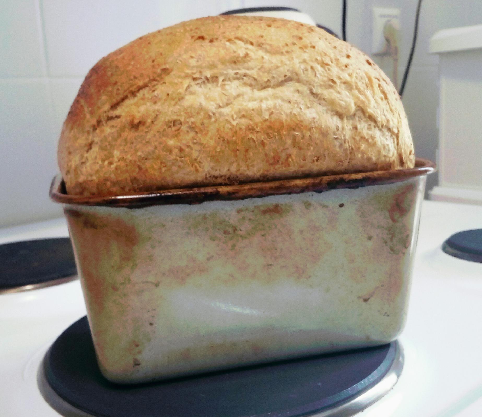Gary's Dutch Oven Bread