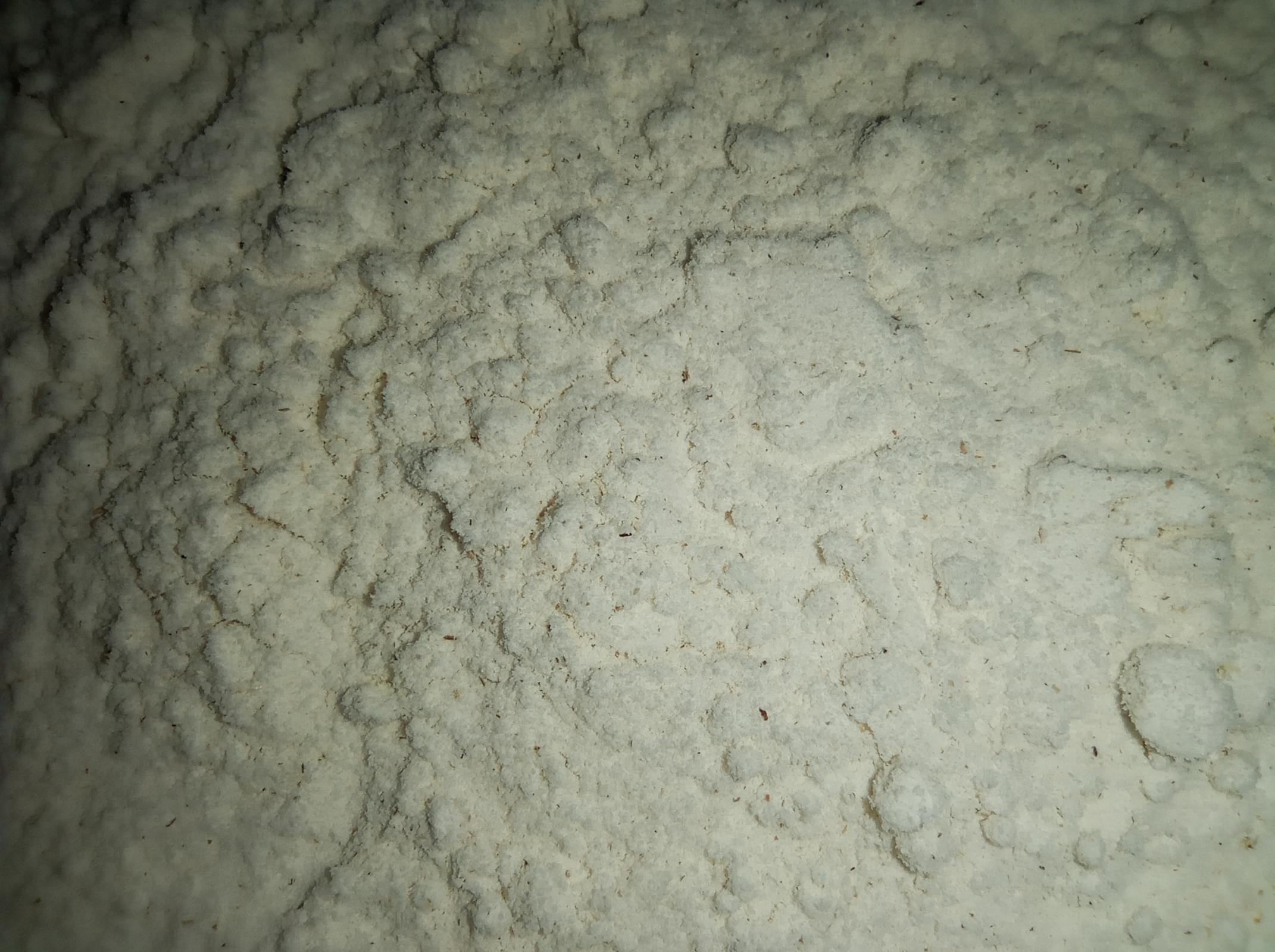 flour