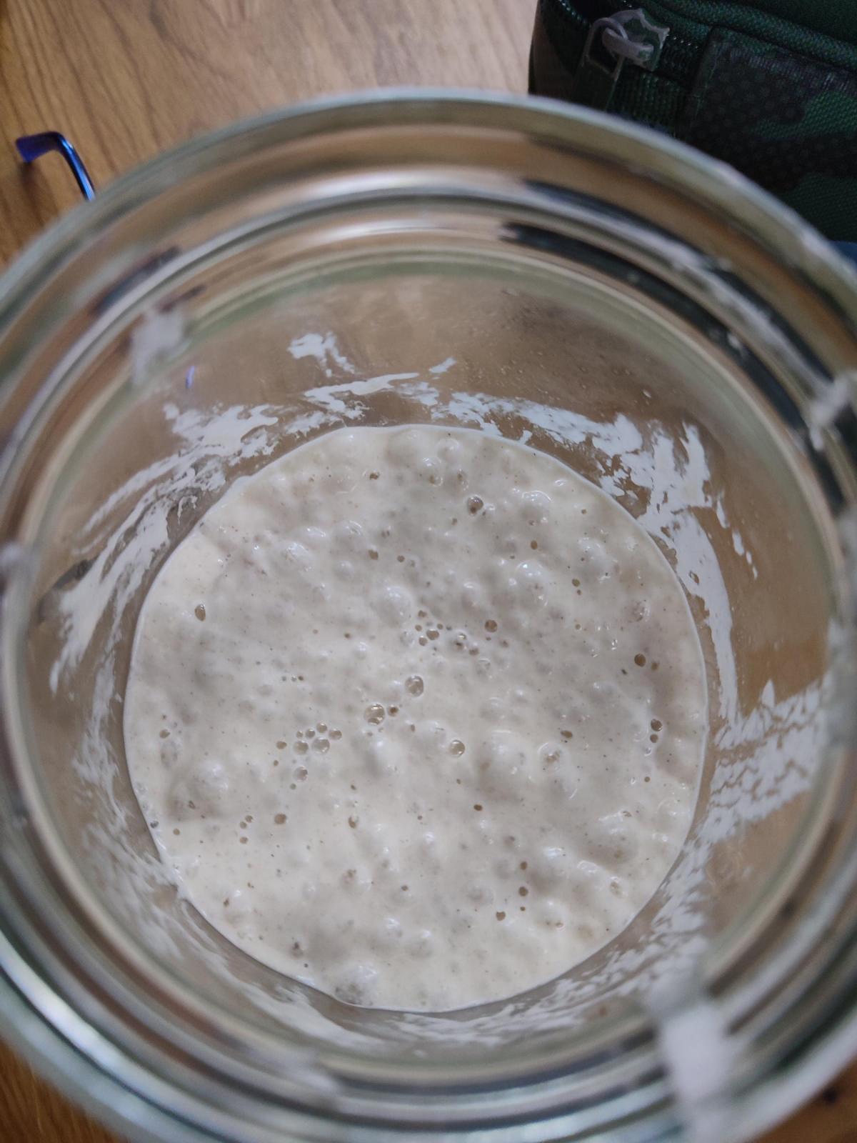 Troubleshooting Your Sourdough Starter - The Clever Carrot