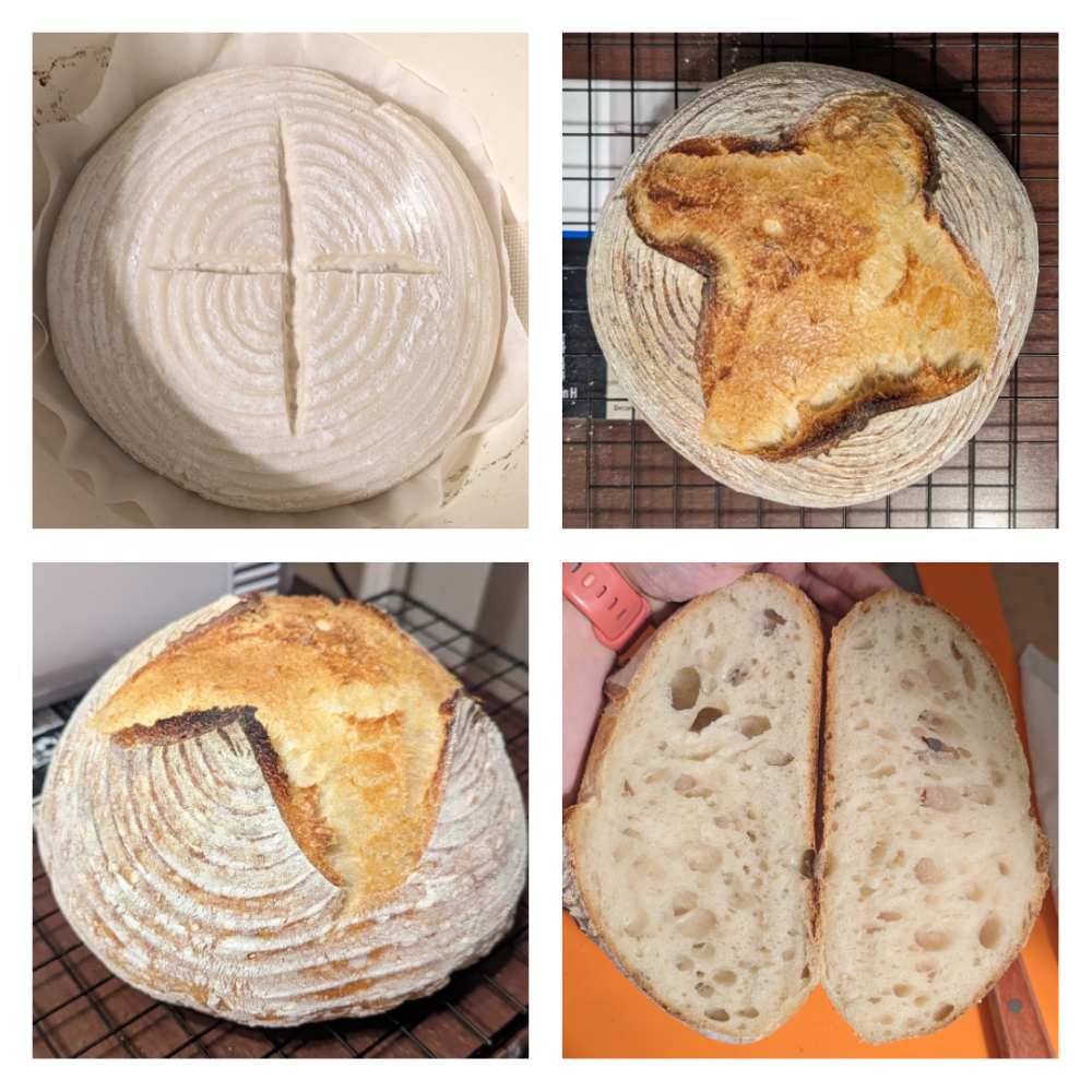 Dutch oven loaf