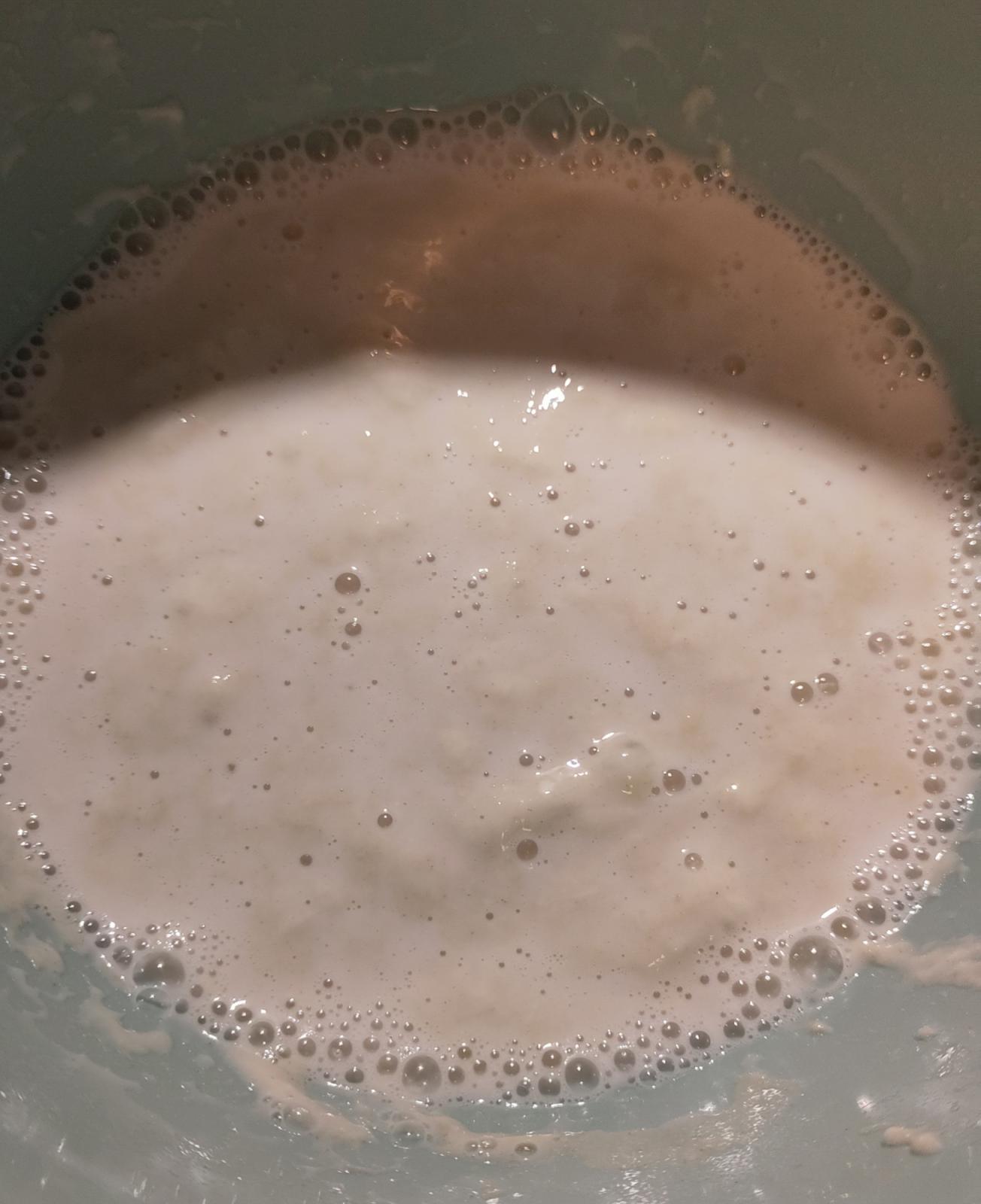added 100g water to poolish