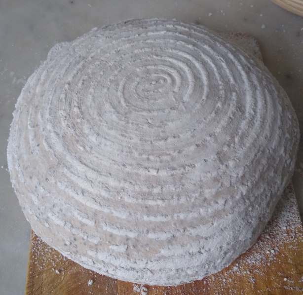 Biga-into-oven
