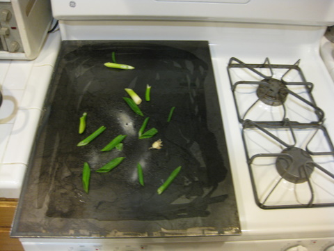 steel plate, seasoning, green onions