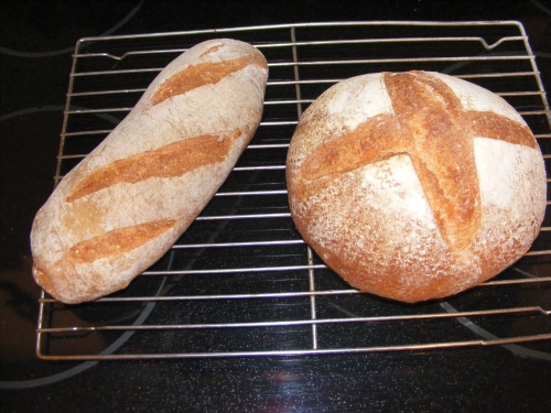 100% Whole Wheat Hearth Bread