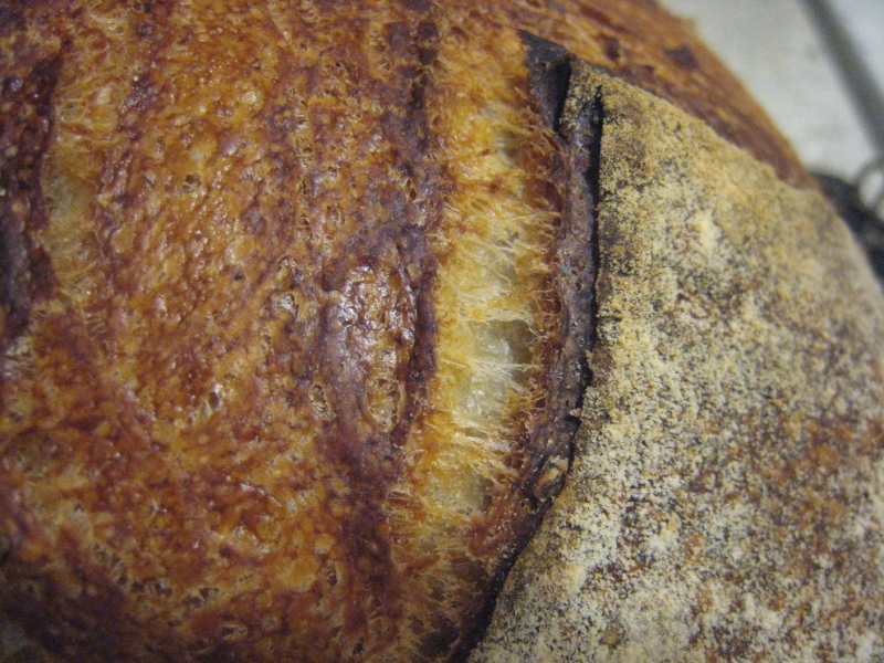 Cold oven baking – The simplest way to make sourdough