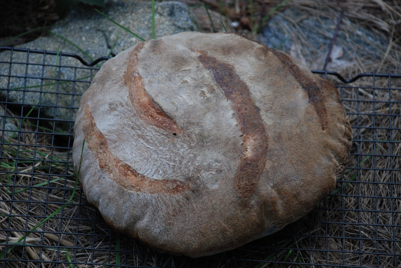 The Pros and Cons of Woodfire Oven for Bread Baking – The Bread Guide: The  ultimate source for home bread baking