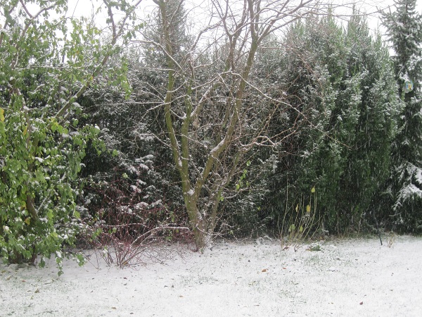 Winter