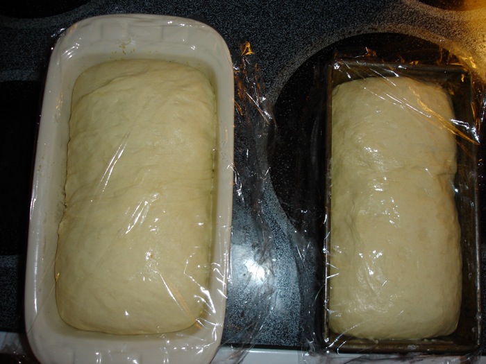 Sandwich loaves final proofing