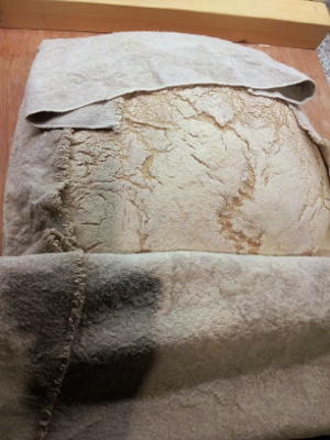 Ready for the oven