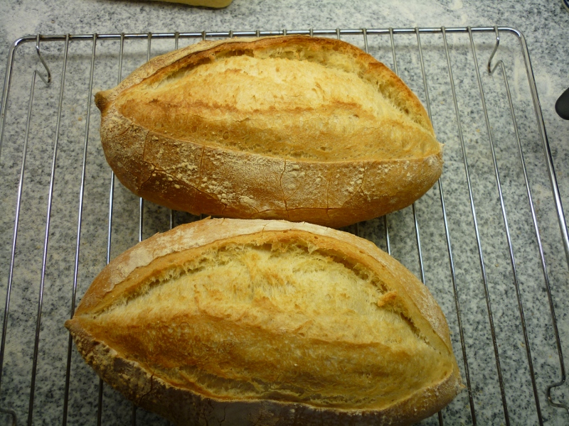 poolish 1