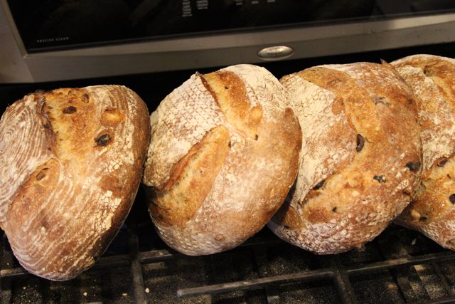 Oven Door  The Fresh Loaf