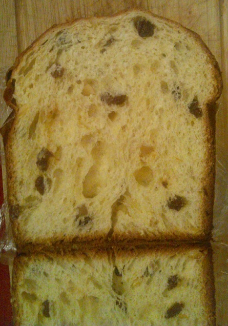 panettone-crumb