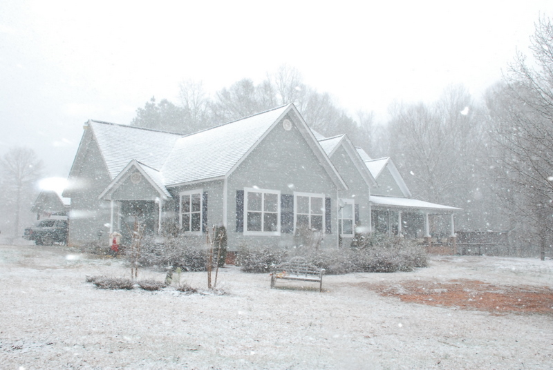 snow baking days